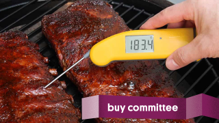 Buy Committee: Should I Upgrade My Instant Read Thermometer?